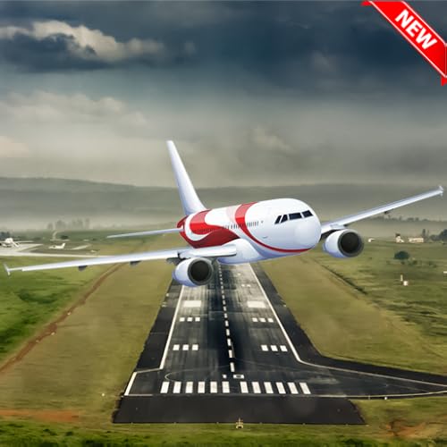 Flight Simulator - Free Drive Game