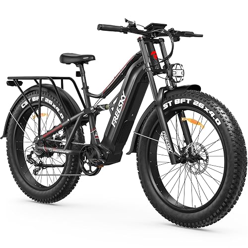 FREESKY BAFANG Motor E-Bike