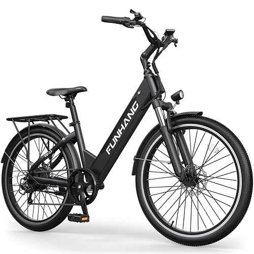 Funhang 20MPH Step Thru Electric Bicycle