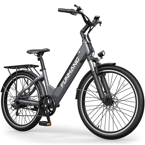 Funhang 20MPH Step Thru Electric Bicycle