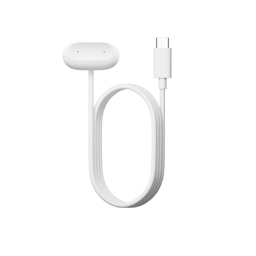 Google Fitbit Air USB-C Charger - Only