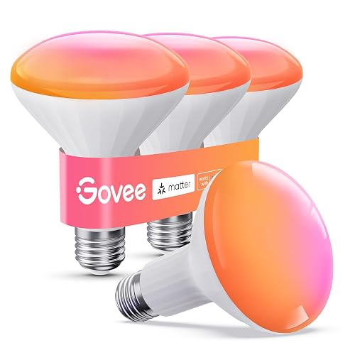 Govee BR30 Smart Light Bulbs 850 LM