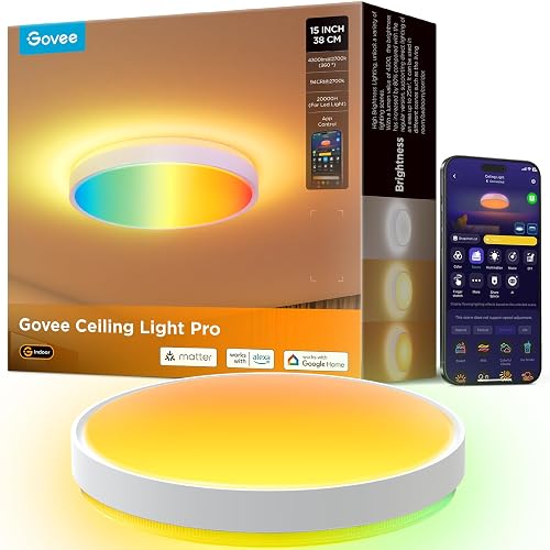 Govee Smart Ceiling Light 4300LM 15 Inch