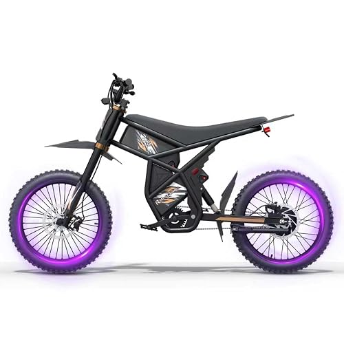 GT73/ GT73 Pro Electric Dirt Bike