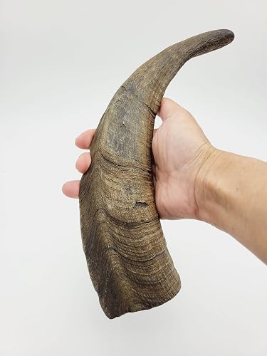 Herders Choice Chews Dried Goat Horns Dog