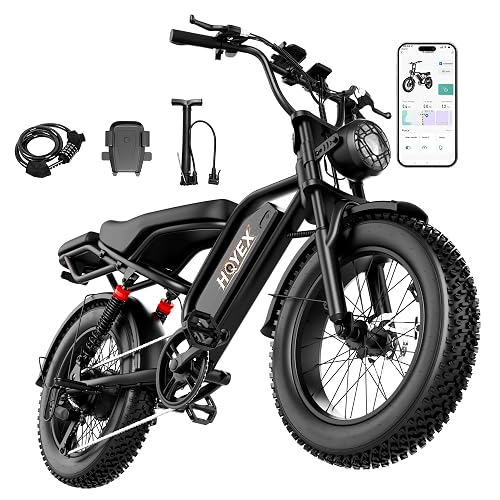 HQYEX 20” E-Bike