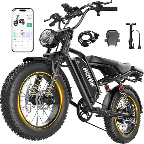 HQYEX Brushless Motor 20" Electric Bicycles