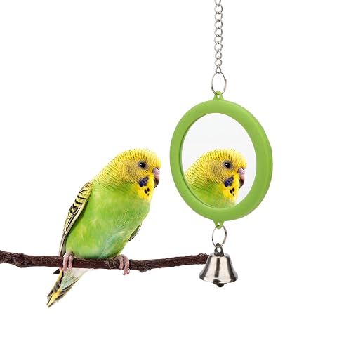 Hypeety Pet Bird Mirror with Bell Interactive