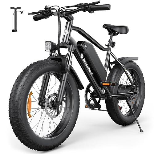 isinwheel M10 Pro Electric Dirt Bike