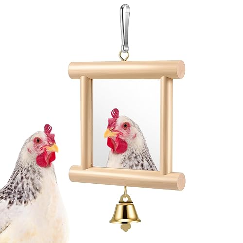 Kynigo Bird Mirror with Bell for Cage