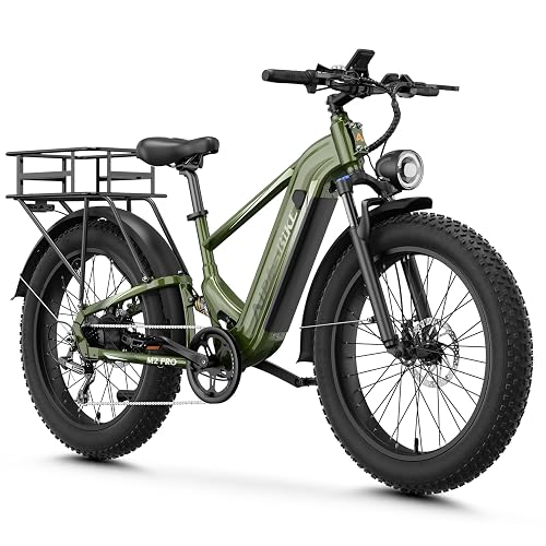 LEONX M2 Pro E-Bike