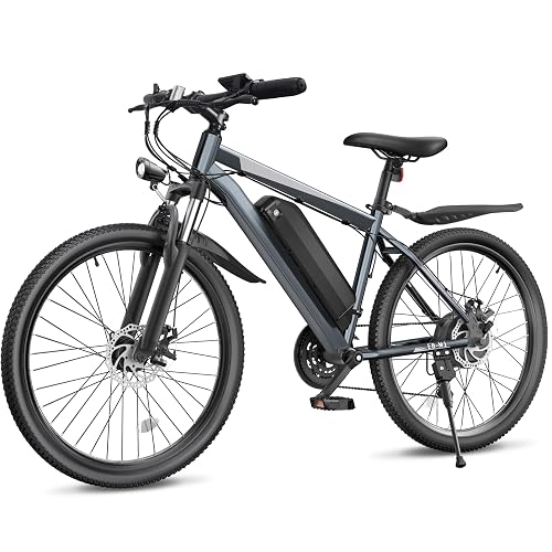 Loeook 26" with Motor 20MPH Electric