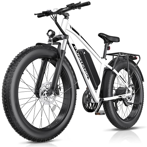 Loeook 20MPH Battery Electric Mountain Bike
