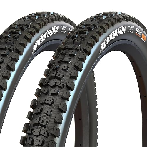 Maxxis Aggressor E-Bike