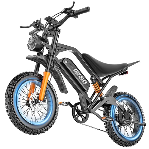 Misodo Electric Dirt Bike