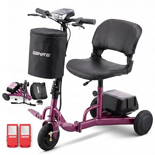 Mobility for Seniors & Adults