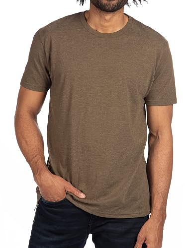 Next Level Apparel Mens N6210