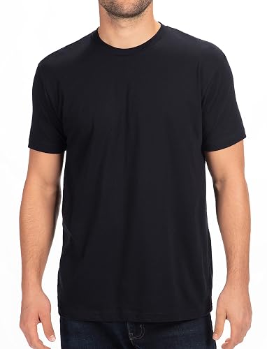 Next Level Apparel Mens N6210
