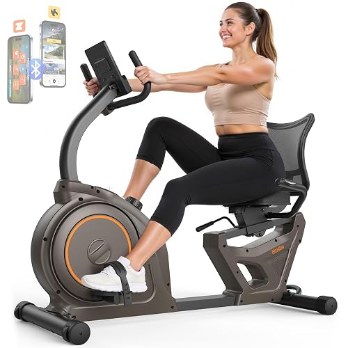 Niceday Recumbent Exercise Bike