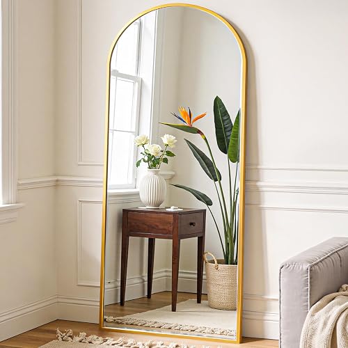 OLIXIS 64"x 21.5" Arched Mirror Full Length