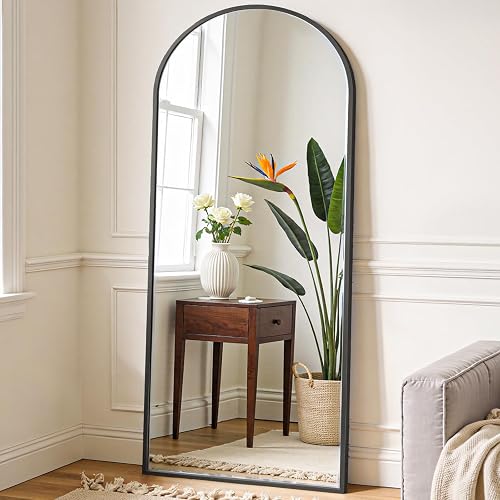 OLIXIS 64"x 21.5" Arched Mirror Full Length