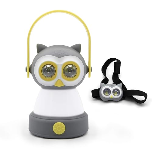 Outdoor Equipment LED Camping Lantern & Headlamp