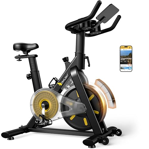 OWLSKY Exercise Bike