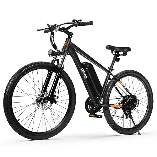 Qlife /Teens Racer E-Bike