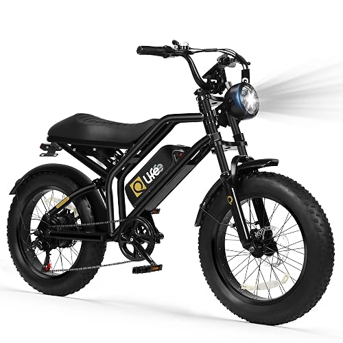 Qlife /Teens Spark- Motor 20" Fat Tires