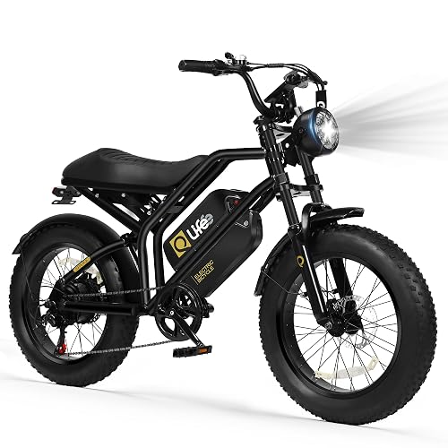 Qlife /Teens Spark- Motor 20" Fat Tires