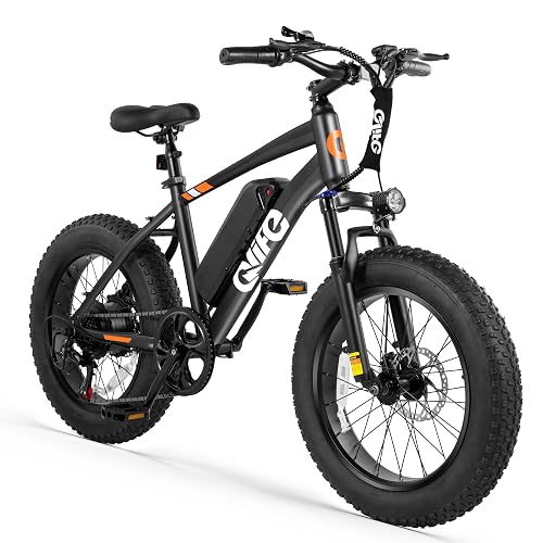 Qlife Racer Series E-Bike