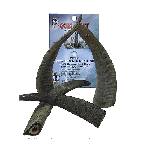 QT Dog Small Gobi Goat Horn -