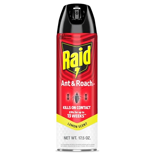 Raid Ant & Roach Killer Spray For