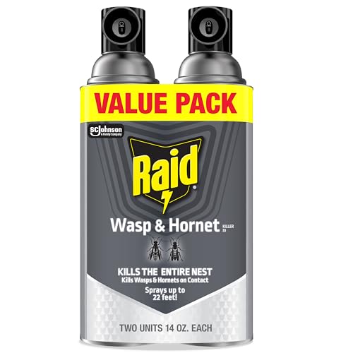 Raid Wasp & Hornet Killer Spray