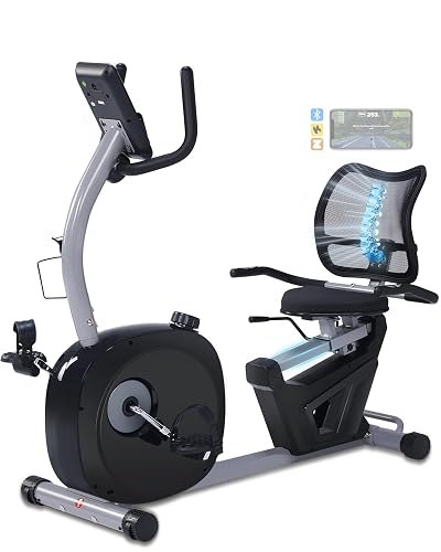 Recumbent Exercise Bike for Seniors - 400LB