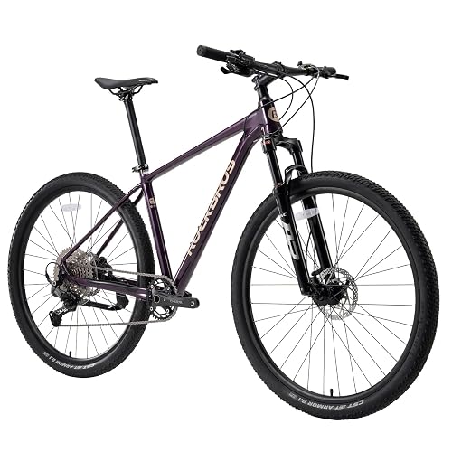 ROCKBROS MT·400 29" Mountain Bike 10 Speeds