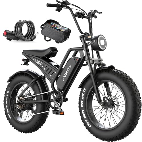 RPINT Electric Mountain Bike