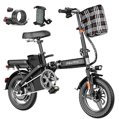 RPINT Foldable E-Bike