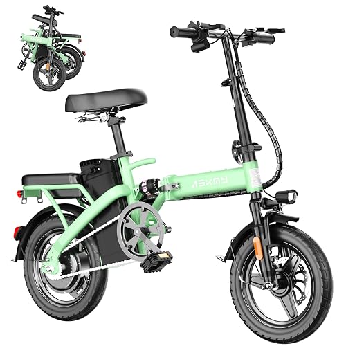 RPINT Foldable Bicycle