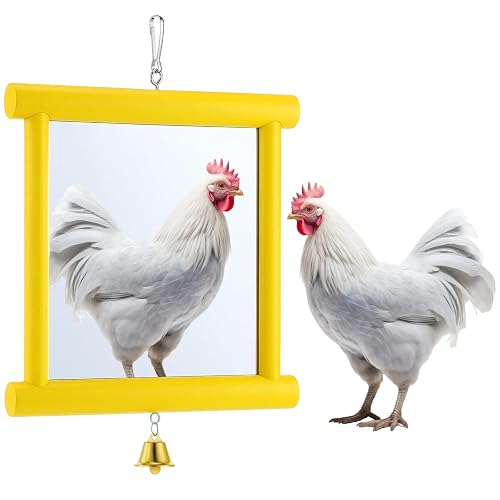 Sadnyy Extra Large Chicken Mirror Toys Hanging