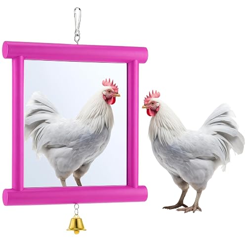 Sadnyy Extra Large Chicken Mirror Toys Hanging