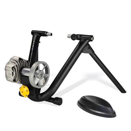 Saris Fluid2 Indoor Bike Trainer