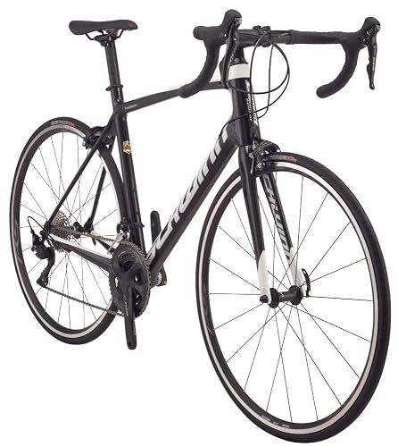 Schwinn Fastback Carbon 105
