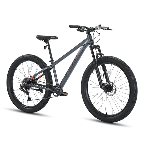 SPATIAL Mountain Bike