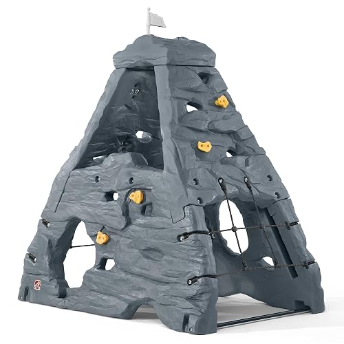 Step2 Skyward Summit Climb Simulators