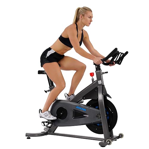Sunny Health & Fitness Premium ASUNA Indoor