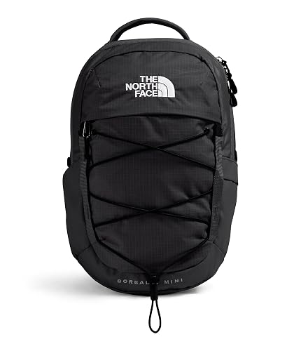 The North Face Borealis Mini Backpack