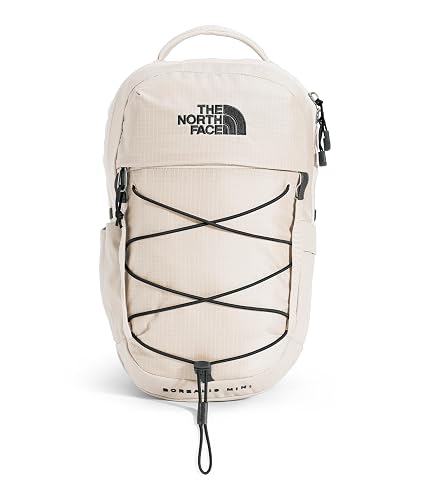 The North Face Borealis Mini Backpack