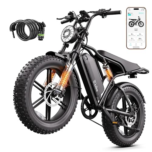 TS TST GRP LLC E-Bike
