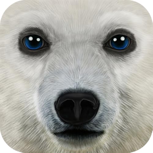 Ultimate Arctic Simulator Climb Simulators